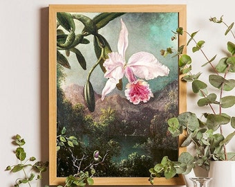 Pink Orchid Flower Botanical Print, Vintage Print, Vintage orchid print, Art Print, Orchid Print, Flower Art, Wall Decor, Tropical Print