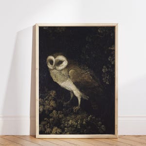 Antique Owl Painting featuring a moody, rustic bird print in a dark academia style. This vintage animal wall art showcases a detailed owl portrait, perfect for creating a scholarly, atmospheric vibe. Ideal as vintage owl print decor, owl wall art, or bird print for a study, library, or cozy reading nook. Printed wall art.
