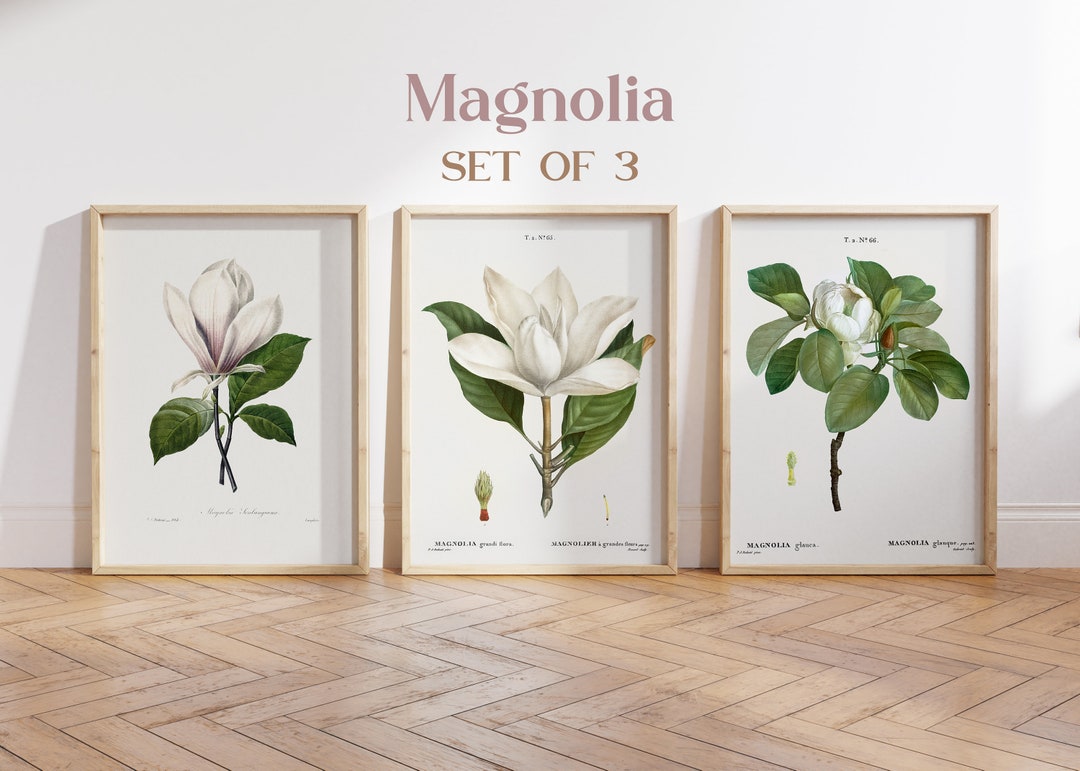 Magnolia Prints Set of 3, Botanical Prints, Art Print, Botanical Print ...