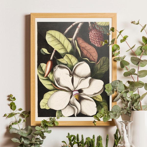 Impression d'art magnolia, fleur de magnolia, impression magnolia, art botanique, impression botanique, illustration botanique, chambre de la ferme, idée cadeau