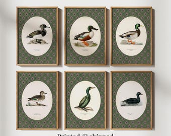 Vintage Duck Print Set: Green Rustic Farmhouse Wall Art