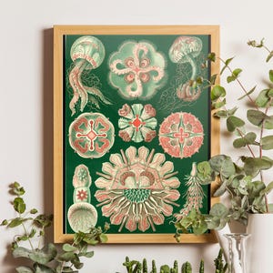 Ernst Haeckel Jellyfish Art Print, Coastal Decor, Lithograph