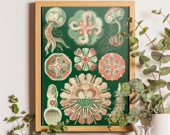 Ernst Haeckel Jellyfish Art Print, Coastal Decor, Lithograph