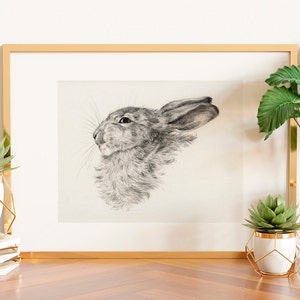Impresión de conejo vintage, dibujo de conejo vintage, arte infantil de conejo, arte mural con dibujo de conejo, arte mural de granja, arte mural de conejo, boceto de conejo