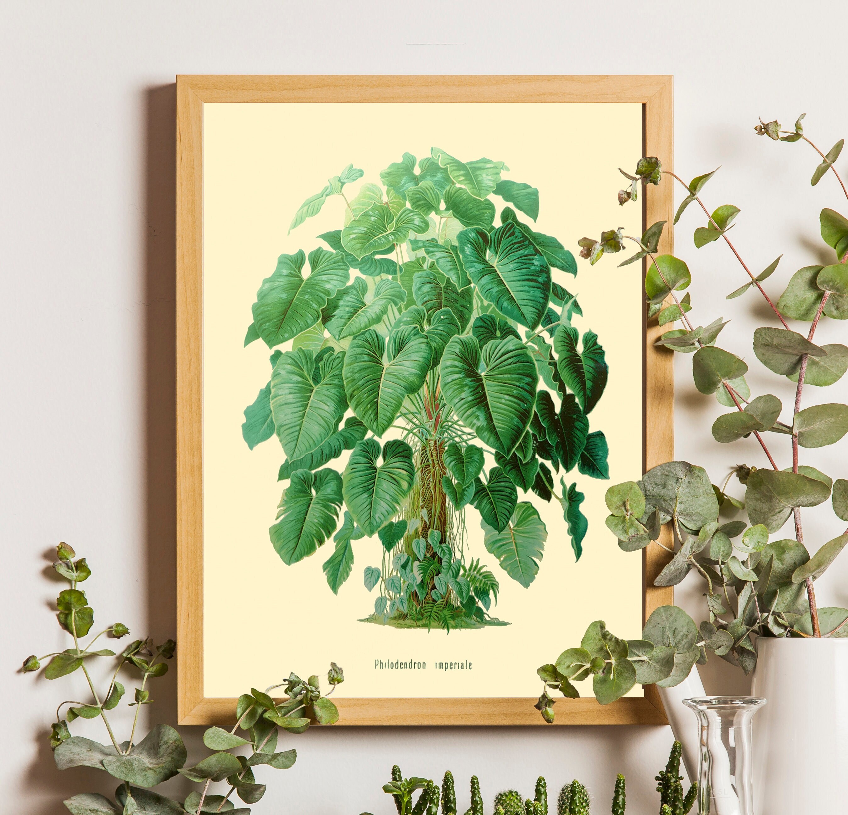 Vintage tropical Phylodendron illustration, Phylodendron print, Phylodendron Poster, House Plant, Green Plant, Plant Posters, Leaf Prints