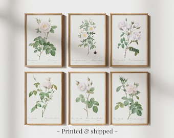 White Roses Set of 6 Prints, Girls Room Decor, Floral Nursery Wall Decor, Vintage Nursery Art, Watercolor Floral Nursery Wall Art, SHIPPED