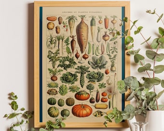 Adolphe Millot Garden Vegetables, Adolphe Millot Vintage Poster, Vintage Wall Decoration, Botanical Prints, Botanical art, Kitchen poster