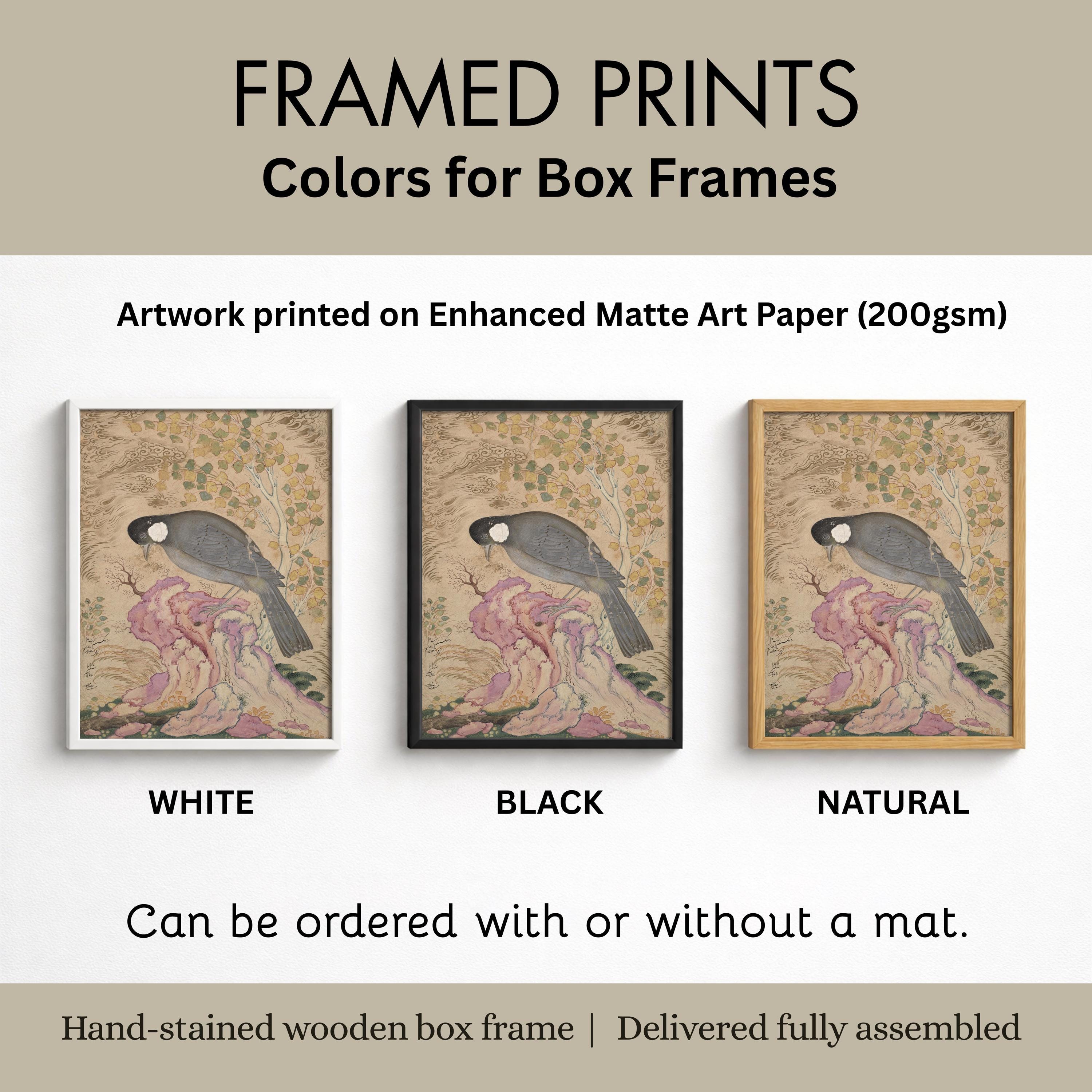 Vintage Bird Prints Set: Botanical Gallery Wall Art, Cottagecore