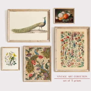 Zestaw ścienny Eclectic Gallery: paw w stylu vintage, kwiaty Millot, grafiki botaniczne