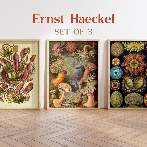 Ernst Haeckel Print Set, Botanical Wall Art, Vintage Flower Print, Coastal Art, Nautical Art, Sea life Print, Ocean Art, Housewarming Gift