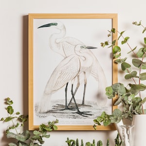 Heron Bird Art Print, Heron poster, Coastal Bird Art, Tall Wading Bird Prints, Mom Gift, Nautical Bird Art, Bird Painting, Coastal decor