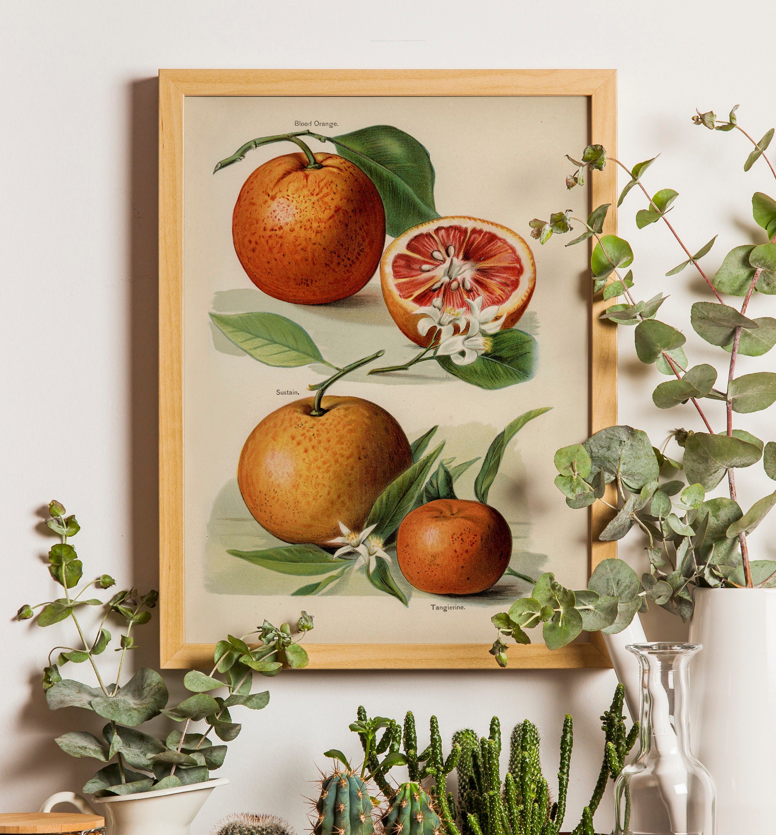 アンティーク　絵　水彩画　果物　antique フランス 油彩 花/フランスアンティーク雑貨 絵画 アート オブジェ【Sibora】