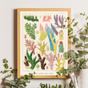 Vintage Sea Coral Print, Vintage Art Print Bathroom, Coral Poster, Nautical print, Nautical Poster, Coral art, Beach house, Bathroom poster