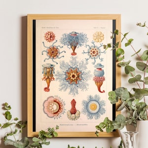 Ernst Haeckel Wall Art, Marine Life Art Print, Vintage Jellyfish Print, Vintage Jellyfish Poster, Scientific Art Print, Biology art decor