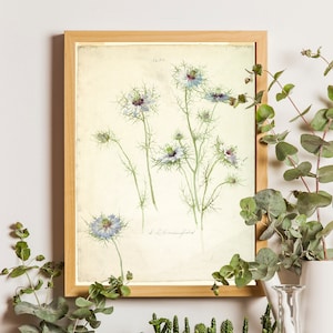 Vintage Blue Wildflowers Art Print, Wild Flower Drawing, Wild Flower Canvas, Vintage Flower Wall Art, Vintage Kitchen Wall Decor, Blue Decor