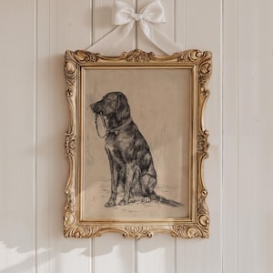 Black Labrador art print featuring a vintage dog painting in an antique animal portrait style. This farmhouse painting and detailed dog sketch makes a perfect dog lovers gift. High-quality dog print, SHIPPED ready to frame.