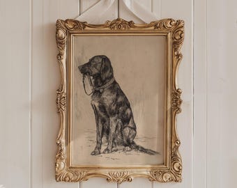 Black Labrador Art Print: Vintage Dog Sketch Portrait