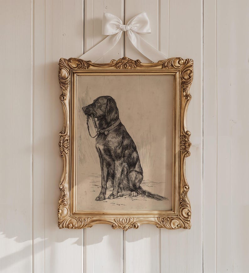 Black Labrador art print featuring a vintage dog painting in an antique animal portrait style. This farmhouse painting and detailed dog sketch makes a perfect dog lovers gift. High-quality dog print, SHIPPED ready to frame.