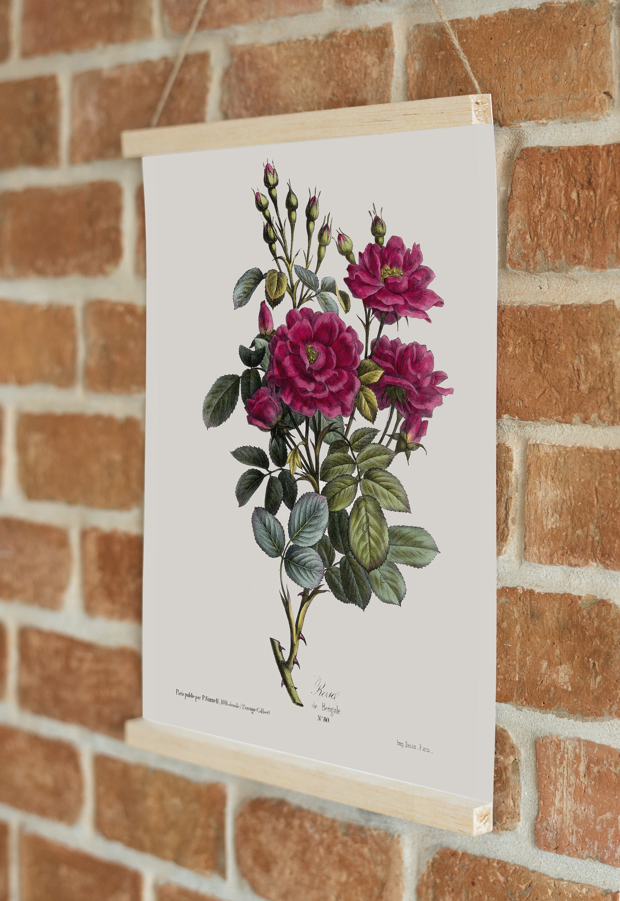 Vintage Roses Wall Art Prints Botanical Poster Botanical Etsy