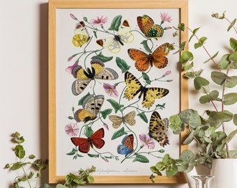 Butterfly Print, Butterfly Illustration, Botanical Wall Art, Vintage Butterfly Wall Art, Butterfly Art Prints, Rustic Butterfly Art,