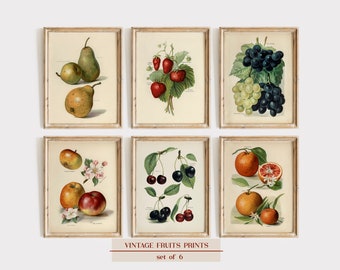 Vintage Obstdruck Set von 6, Obstdrucke, Vintage Obstkunstdrucke, Küche Botanische Drucke, Vintage Botanische Kunst, Orangendruck, Apfel