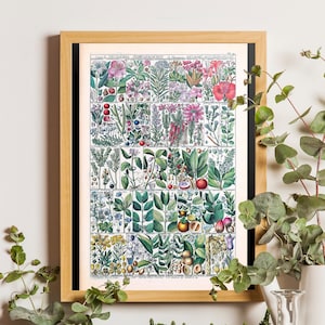 Botanischer Druck, Botanische Wandkunst, Vintage Blumendruck, Vintage Küchen Dekor, Medizinisches Poster, Housewarming Geschenkidee, Geburtstagsdruck