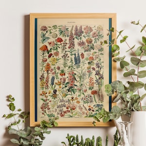 Vintage bloemenprint 1909 - Adolphe Millot Plakat Home Decor Botanische print Romantiek Illustratie Wetenschap verjaardagscadeau idee