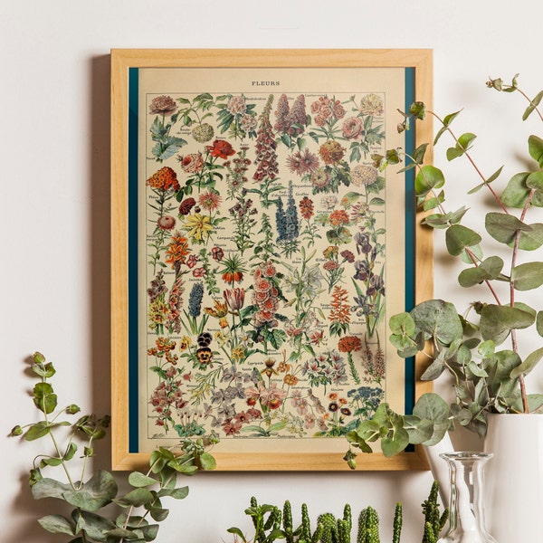 Stampa floreale vintage 1909 - Adolphe Millot Plakat Home Decor Botaniczny Print Romantyczny Kwiatowy Ilustracja Science Idea regalo di compleanno