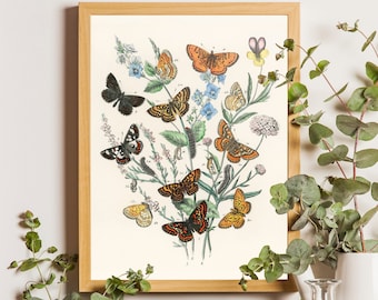 Butterfly Print Vintage, Butterfly Poster, Butterfly Print Nursery, Butterflies Poster, Vintage Butterfly Print, Butterfly Decor, Spring Art