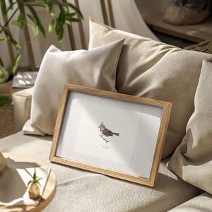 Antique bird prints set of 6, featuring vintage botanical illustrations perfect for a gallery wall. Farmhouse wall art style, ideal canvas art for living room wall decor. Printed and shipped.