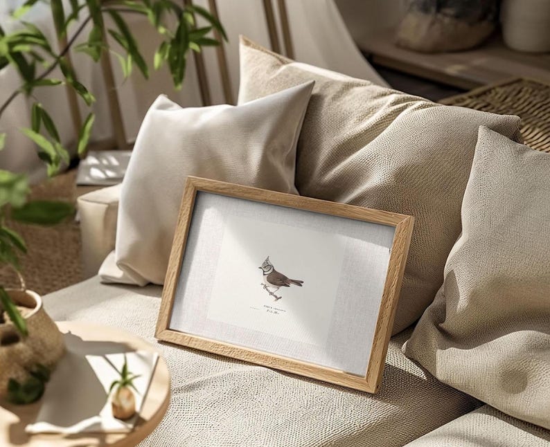 Antique bird prints set of 6, featuring vintage botanical illustrations perfect for a gallery wall. Farmhouse wall art style, ideal canvas art for living room wall decor. Printed and shipped.