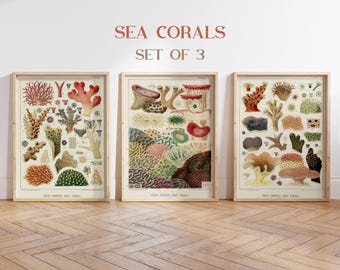 Vintage Sea Coral Art Print Set, Giclee Coastal Decor