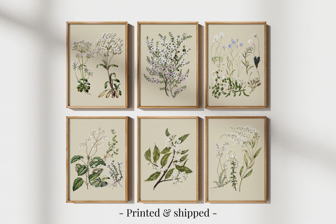 Vintage Wildflower Botanical Print Set, Neutral Gallery Wall Art - Etsy UK