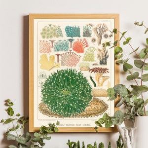 Vintage Coral Print, Great Barrier Reef, Vintage Coral Wall Art Print, Vintage Bathroom Decor, Beach House Poster, Coral Marine Art, Coral