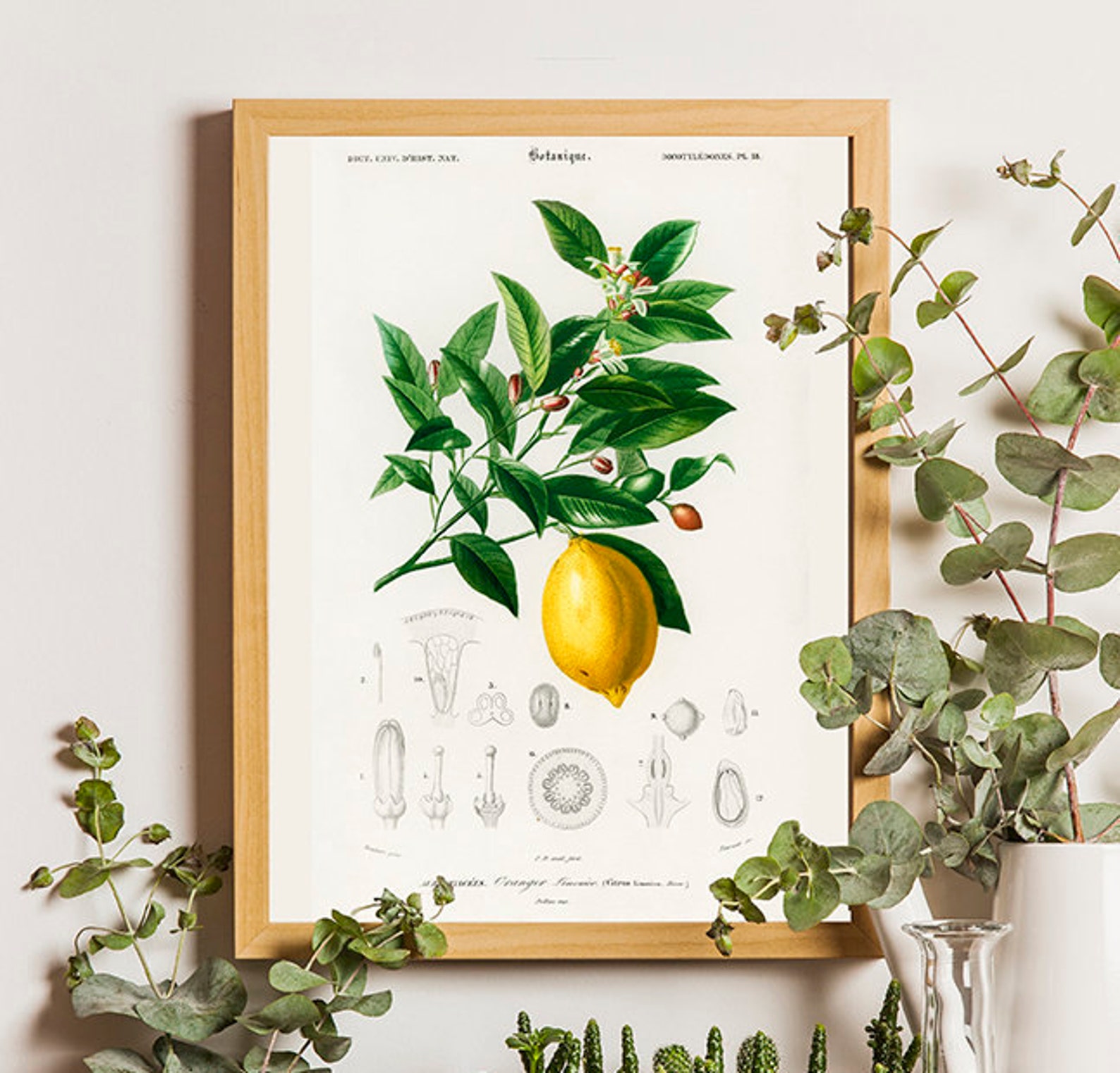 2er Set Zitronen Poster Vintage - Wandbild 50x70cm Für Wohnzimmer Deko