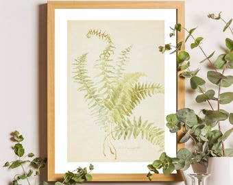 Vintage Fern Print: Farmhouse Botanical Wall Art