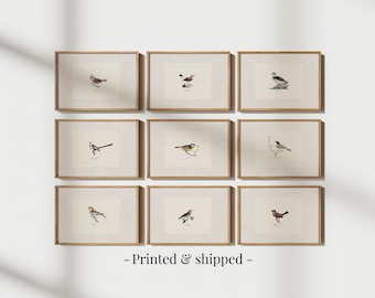 Vintage Bird Prints Set: Neutral Botanical Gallery Wall Art