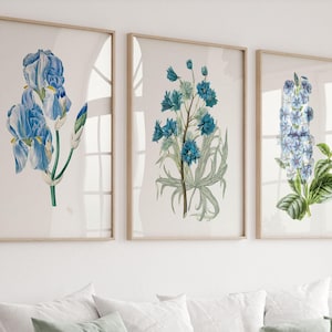Blue Floral Wall Art Set of 3 Prints, Blue Wall Art, Botanical Wall Art, Printed Wall Art, Wildflower Wall Art, Canvas Art, Gallery Wall