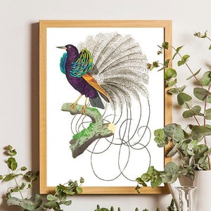 Ave del paraíso vintage, Impresión de pájaro vintage, Impresión de pájaro, Póster de pájaro, Impresiones artísticas, Impresiones botánicas, Arte de historia natural, Ilustración de aves