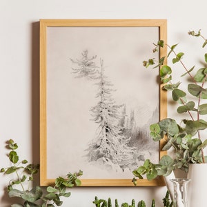 Neutral Antique Pine Tree Drawing, Holiday Decor, Vintage Sketch Art, Soft Decor, Vintage Pine Tree Sketch, Tree Drawing, armhouse Decor