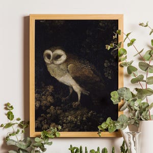 Antique Owl Painting featuring a moody, rustic bird print in a dark academia style. This vintage animal wall art showcases a detailed owl portrait, perfect for creating a scholarly, atmospheric vibe. Ideal as vintage owl print decor, owl wall art, or bird print for a study, library, or cozy reading nook. Printed wall art.