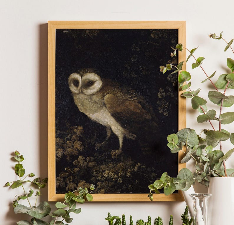 Antique Owl Painting featuring a moody, rustic bird print in a dark academia style. This vintage animal wall art showcases a detailed owl portrait, perfect for creating a scholarly, atmospheric vibe. Ideal as vintage owl print decor, owl wall art, or bird print for a study, library, or cozy reading nook. Printed wall art.