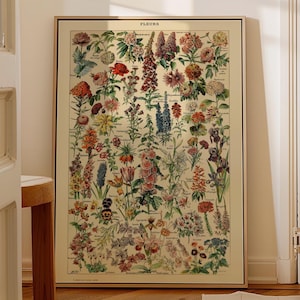 Vintage Fleurs Flower Print: Adolphe Millot Botanical Illustration (PRINTED)