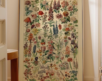 Vintage Fleurs Flower Print: Adolphe Millot Botanical Illustration (PRINTED)