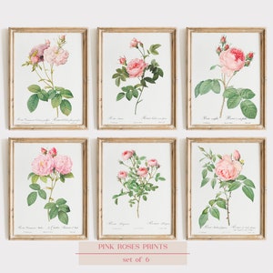 Vintage Pink Roses Wall Art Prints, Set of 6, Botanical Prints, Floral Wall Art Decor, Vintage Art, Pink Roses Botanical Prints, Pink Roses