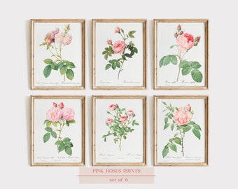 Vintage Pink Roses Wall Art Prints, Set of 6, Botanical Prints, Floral Wall Art Decor, Vintage Art, Pink Roses Botanical Prints, Pink Roses