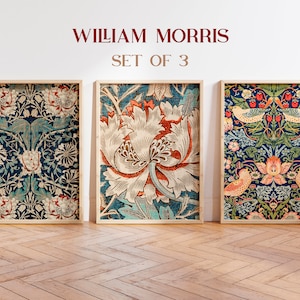William Morris Print Set of 3, Art Nouveau, Arts and Crafts, Botanical Prints, Illustration, Giclee, Wall Art, Prints, Victorian Style Art