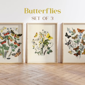 Butterfly Print Set of 3 Art Print Antique Butterfly Insect Illustration Garden Nature Home Wall Decor Interior Design to Frame Butterflies