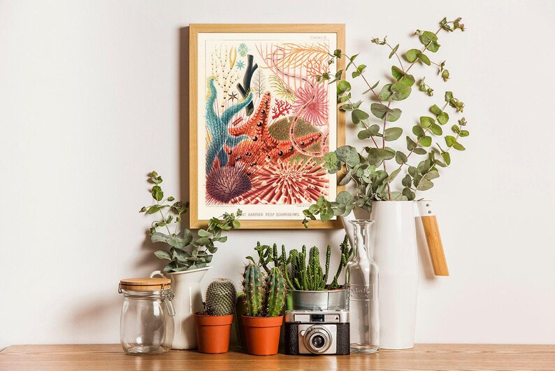 Vintage Coral Reef Print, Marine Life Illustration, Coastal Bathroom Art image 2