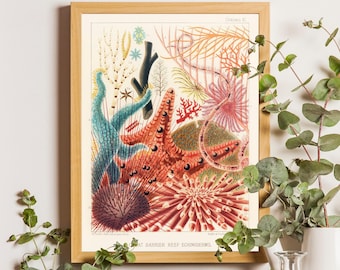 May include: A framed vintage-style scientific print titled Great Barrier Reef Echinoderms, featuring detailed illustrations of starfish, sea urchins, and coral in shades of red, orange, blue, and black on a cream background.